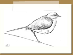 Pencil and paper.