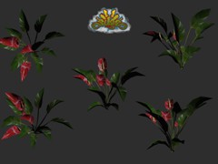 604trisTropicalFlowers01