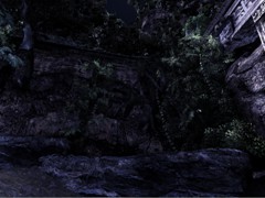 jungle03