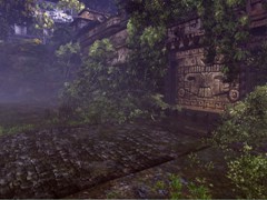 jungle04