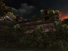 jungle05